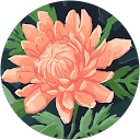 Nadine Pollmer profile picture